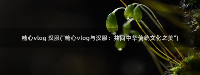 糖心vlgo免费进入：糖心vlog 汉服(\