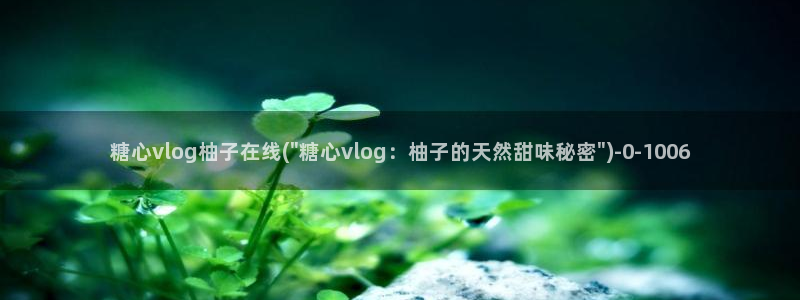 糖心vlgo陈思思