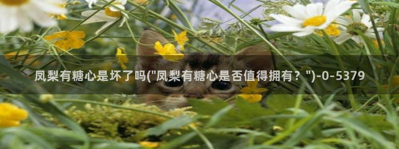 心糖vlog免费：凤梨有糖心是坏了吗(\