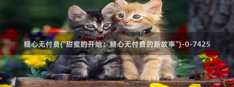 糖心vlog官网i：糖心无付费(\