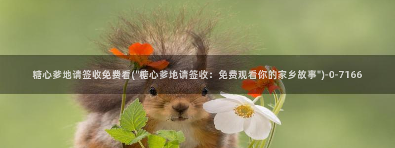 糖心vlog鸡教练：糖心爹地请签收免费看(\