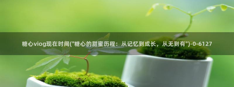 糖心vlog合法吗