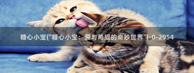 糖心柚子猫vlog：糖心小宝(\