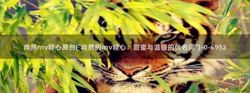糖心vlog网页免费