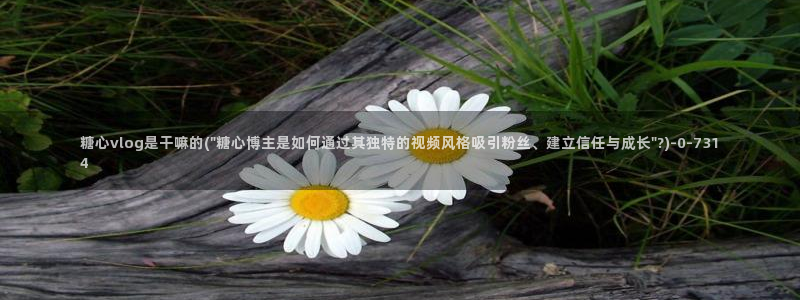 糖心视频vlog深夜释放自己