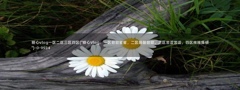 糖心官方vlog