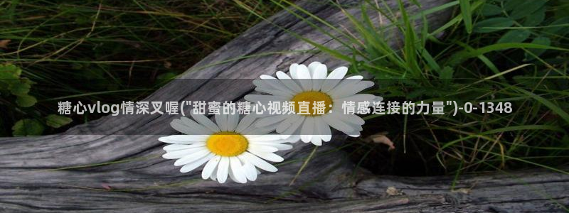 糖心vlog安装包