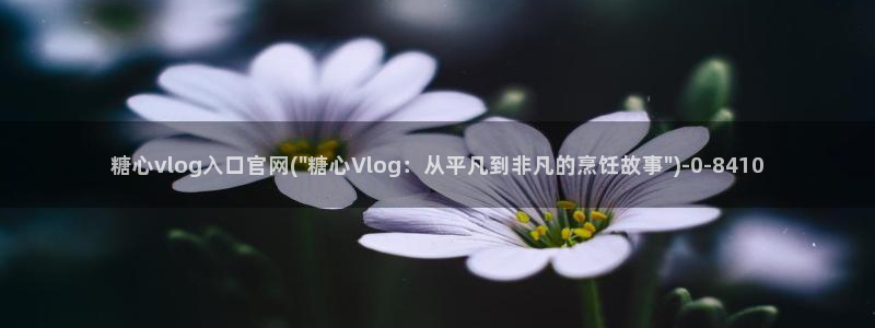 糖心vlog科普