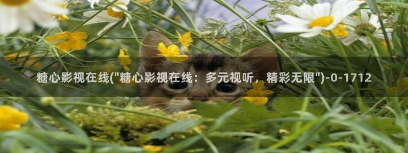 糖心vlog百度网盘