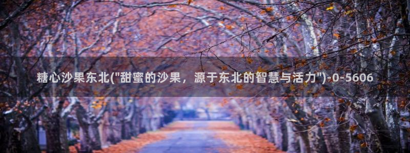 糖心vlog排行